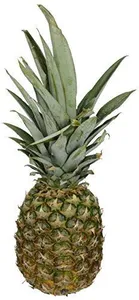 pina